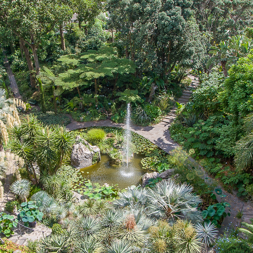Valley Garden