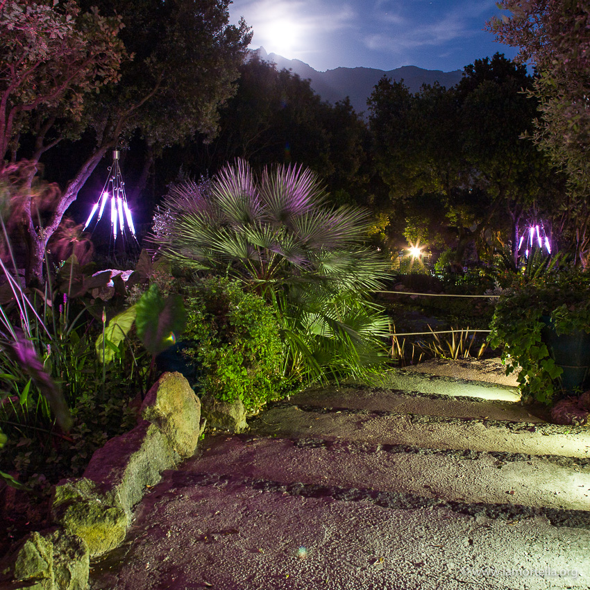 Hill Gardens